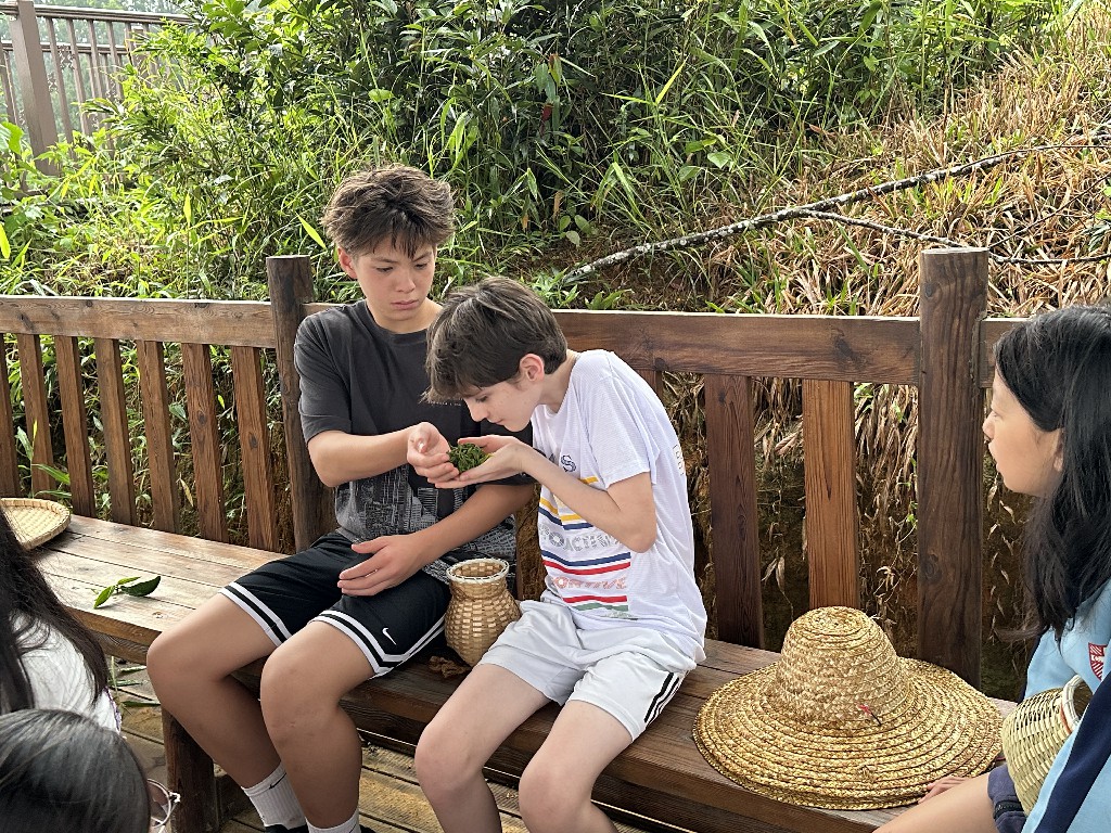 IMG 1790
