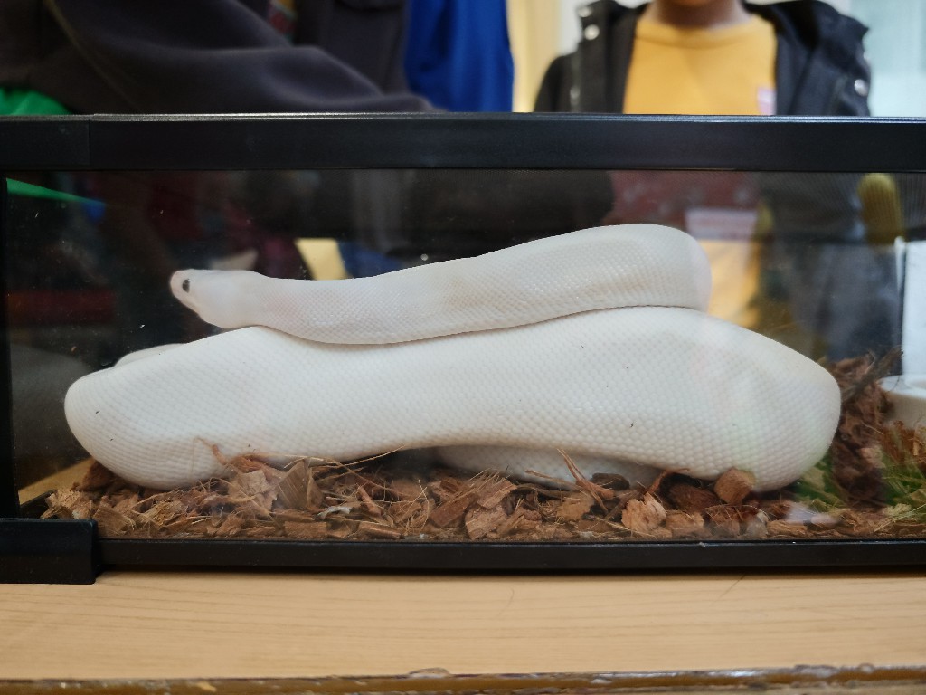 IMG 20260207 133219384 BURST10