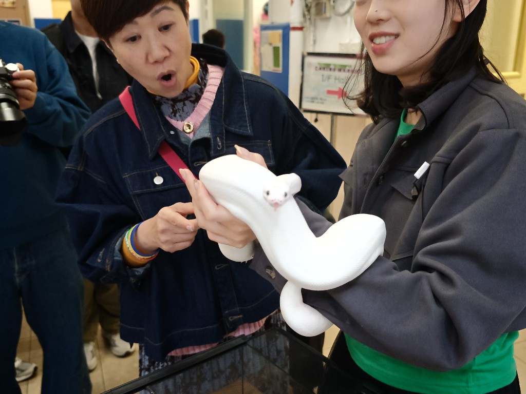 IMG 20260207 133301753 BURST13