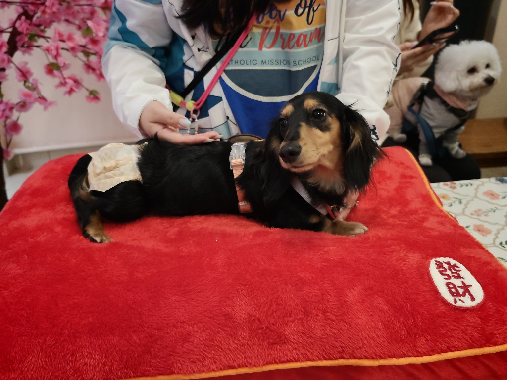 IMG 20260207 133325480 BURST12