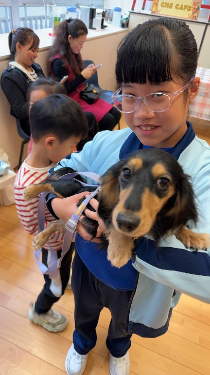 WhatsApp Image 2026 02 13 at 4.05.52 PM